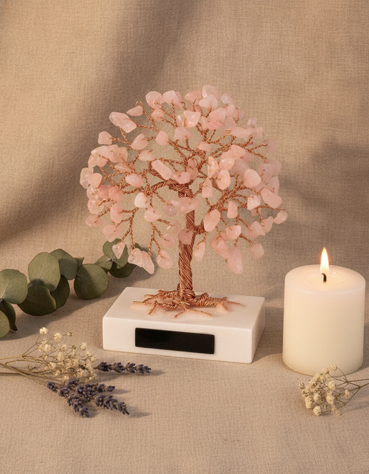 onmodel-altar-v1