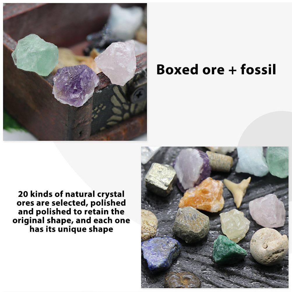 20 Piece Mini Crystal and Gemstone Specimen Set
