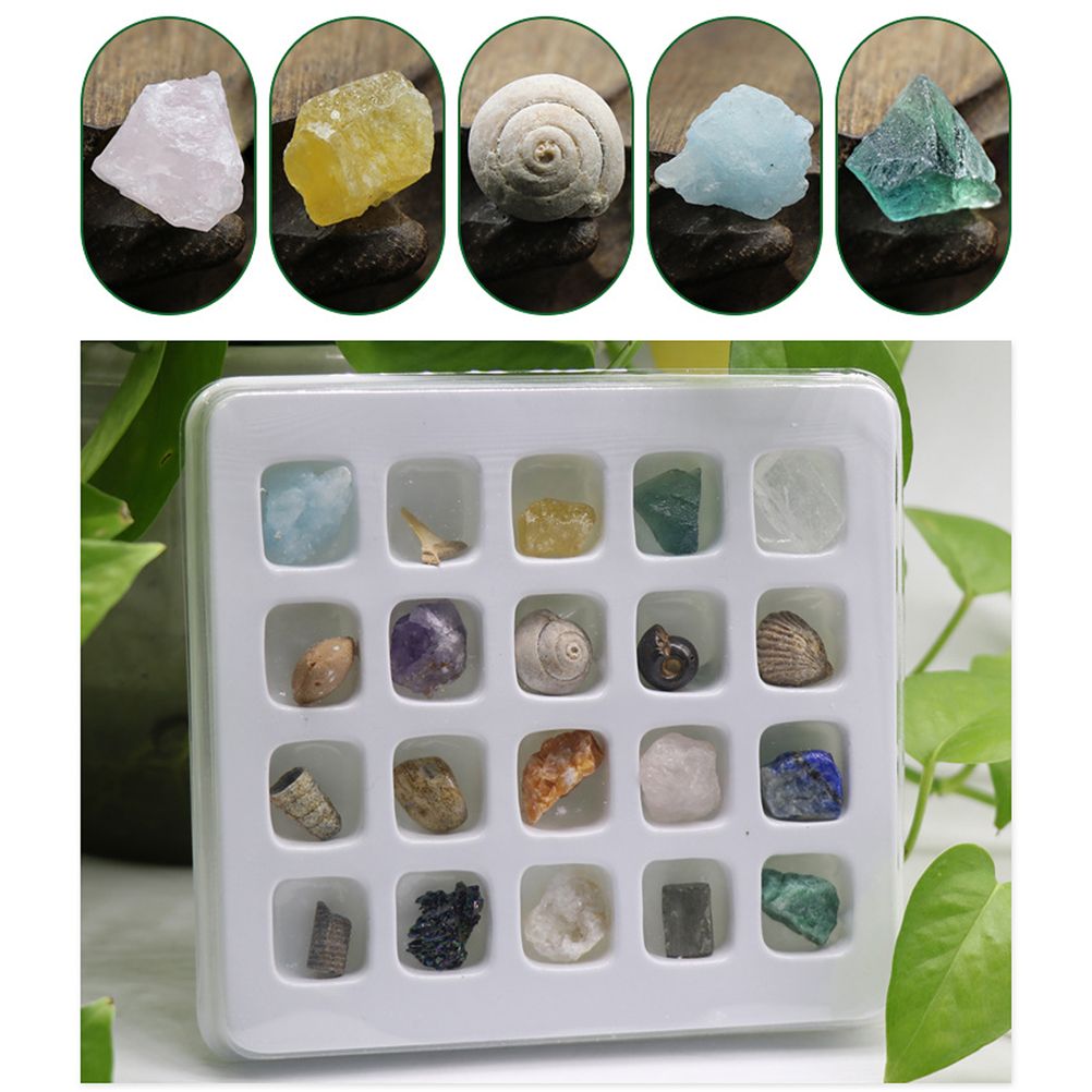 20 Piece Mini Crystal and Gemstone Specimen Set