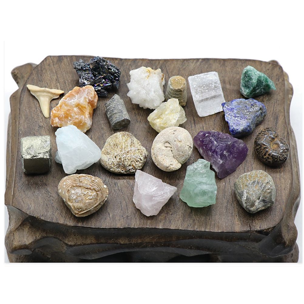 20 Piece Mini Crystal and Gemstone Specimen Set